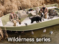 wilderness